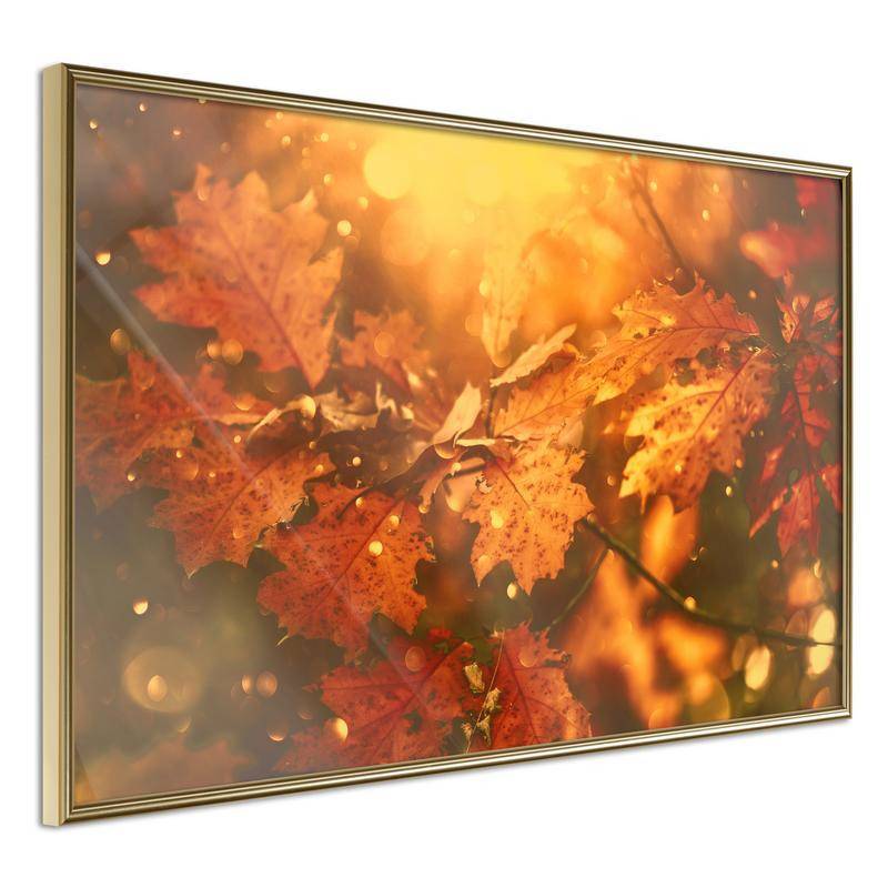 38,00 € Plakatas su daugybe rudų ir auksinių lapų – Arredalacasa