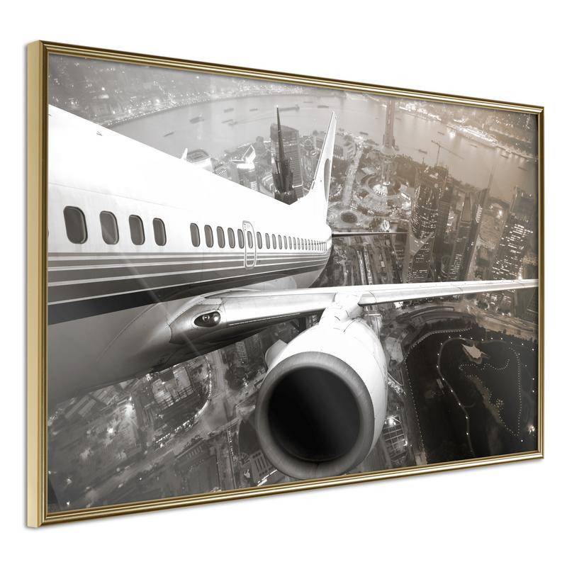 38,00 € Póster - Plane Wing