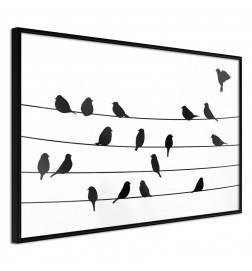 Poster in cornice con gli uccelli sul filo - Arredalacasa