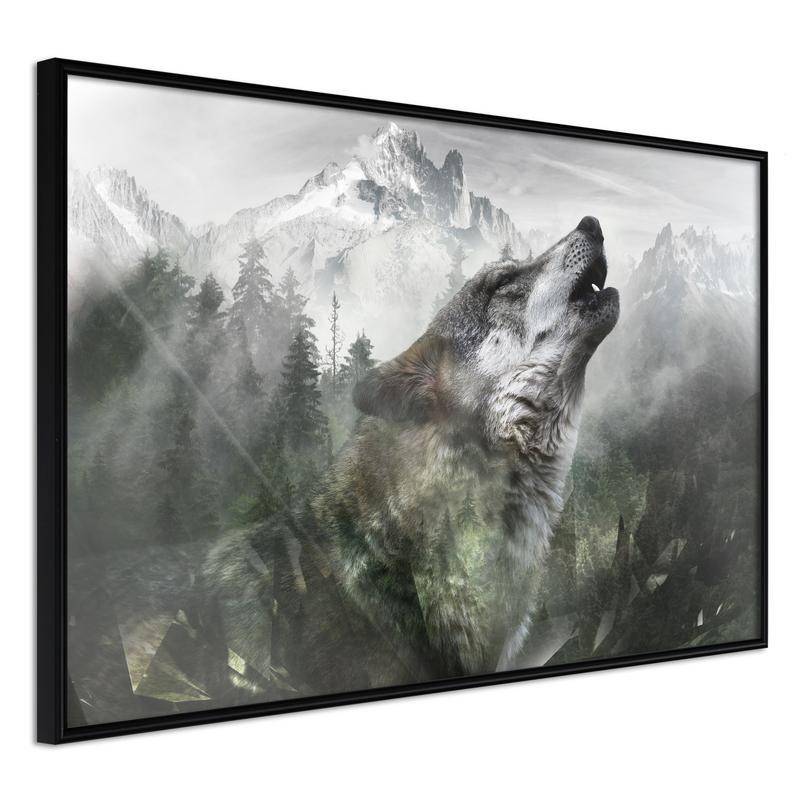 38,00 € Poster met een wolf die ulula Arredalacasa