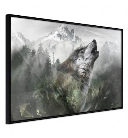 38,00 € Poster - Wolf's Territory