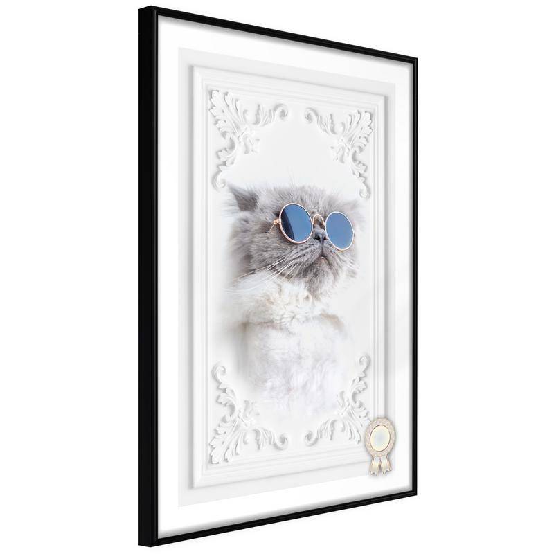 38,00 €Poster in cornice con il gatto con gli occhiali da sole - Arredalacasa