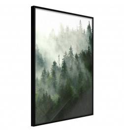 Poster - Steaming Forest