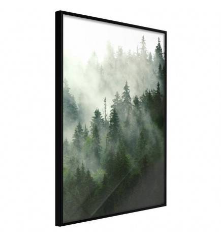 38,00 €Poster et affiche - Steaming Forest