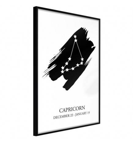 38,00 € Poster - Zodiac: Capricorn I
