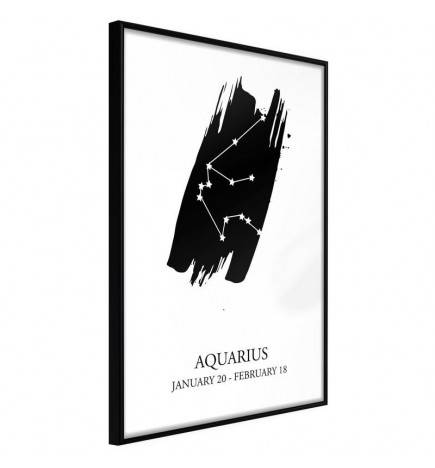 Poster - Zodiac: Aquarius I