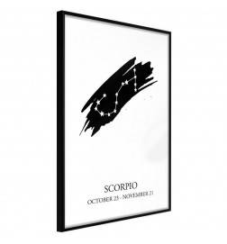 38,00 €Poster et affiche - Zodiac: Scorpio I