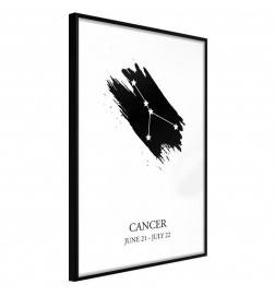 38,00 € Poster - Zodiac: Cancer I