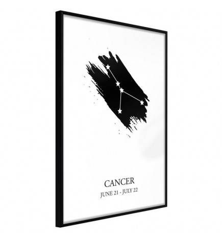 Pôster - Zodiac: Cancer I