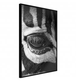 Poster in cornice - Occhio alla zebra - Arredalacasa