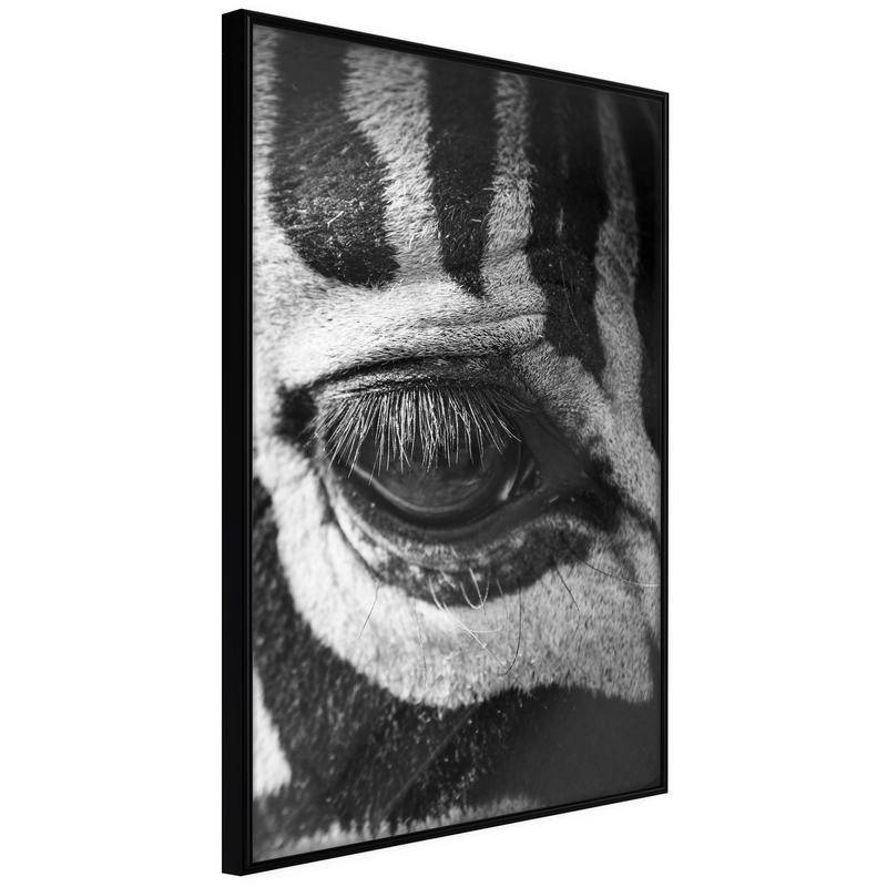 38,00 € Plakat z zebro, ki te opazuje - Arredalacasa