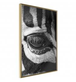 Plakatas su tave stebinčiu zebru – Arredalacasa
