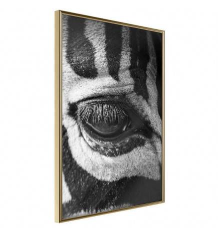Poster met zebra die je in de gaten houdt