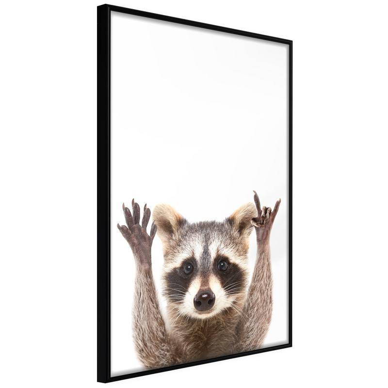 38,00 € Póster - Funny Racoon