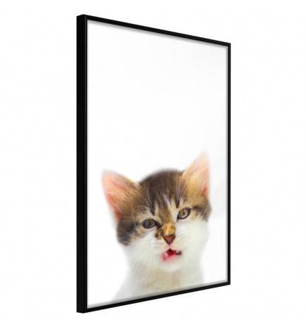 45,00 € Poster met een zeer boze kitten, Arredalacasa