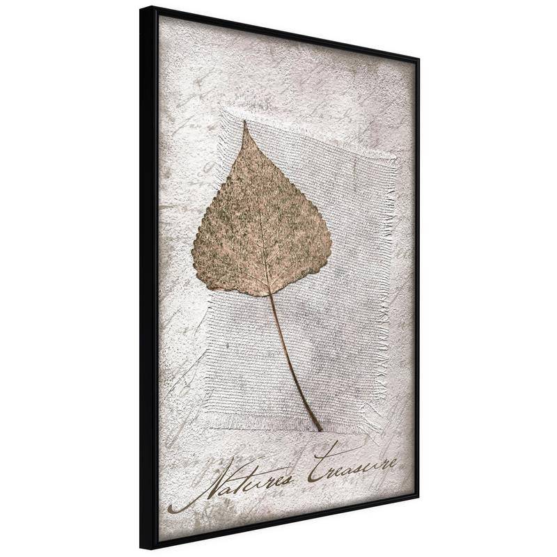 38,00 € Poster - Dried Leaf