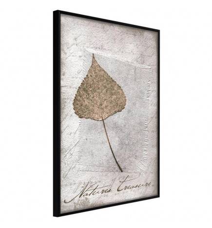 Poster - Dried Leaf