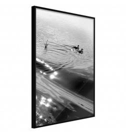38,00 € Poster - Texture of Water