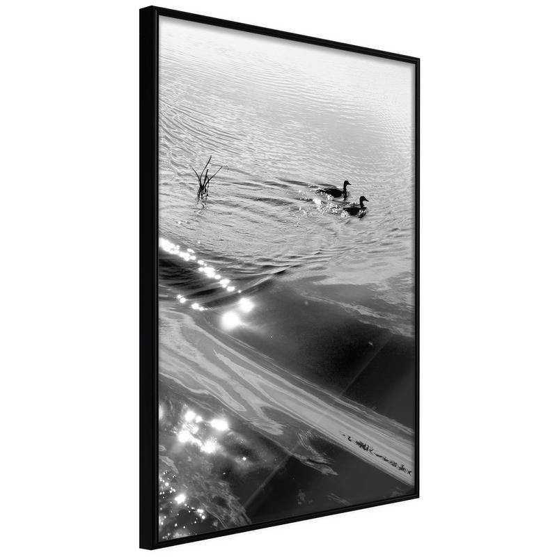 38,00 €Poster et affiche - Texture of Water