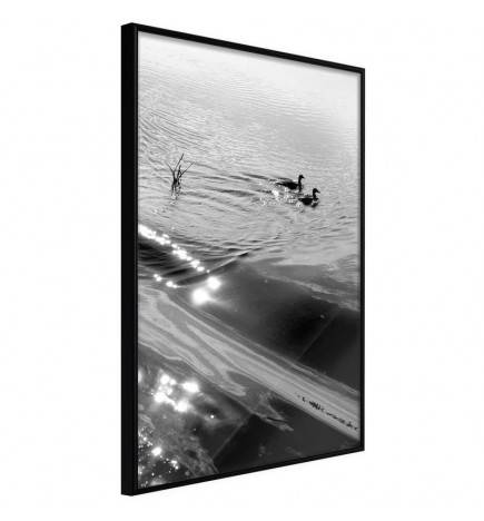 38,00 €Poster et affiche - Texture of Water