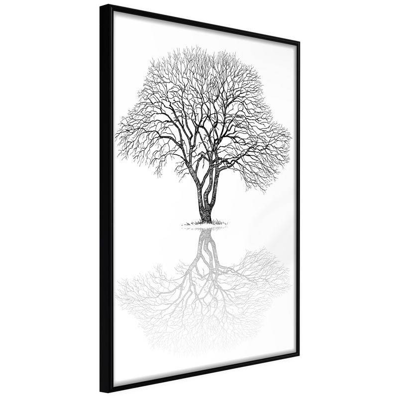 38,00 € Poster met een boom reflecteert op zichzelf, Arredalacasa