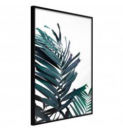 Poster in cornice con due foglie di palma nere - Arredalacasa