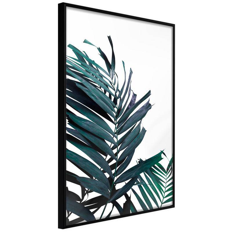 38,00 € Poster met twee zwarte palmbladeren, Arredalacasa