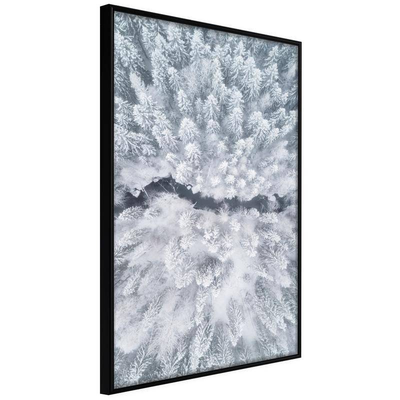 38,00 €Poster et affiche - Winter Forest From a Bird's Eye View