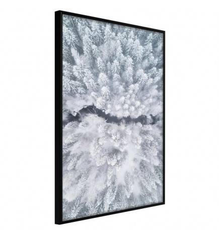 38,00 €Poster et affiche - Winter Forest From a Bird's Eye View