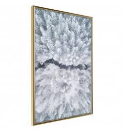 Plakāts ar skatu no gaisa uz sniegotajiem kokiem - Arredalacasa