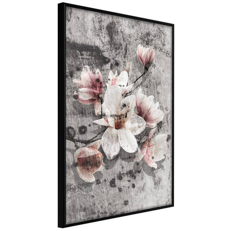 38,00 € Poster - Flowers on Concrete