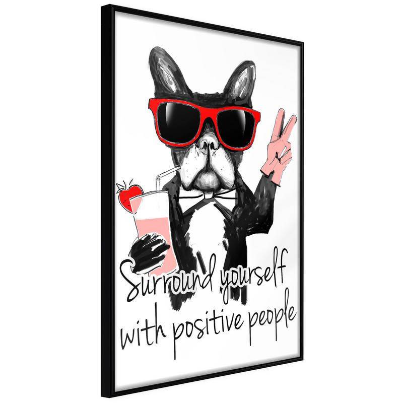 38,00 € Otroški plakat s psom v sončnih očalih
