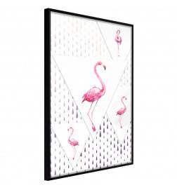 38,00 € Poster met vijf pelikanen, Arredalacasa