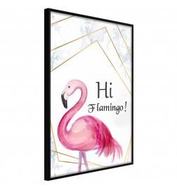38,00 € Poster met een roze pelikaan Arredalacasa