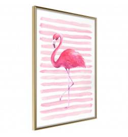 Poster in cornice - Pellicano con le strisce rosa - Arredalacasa