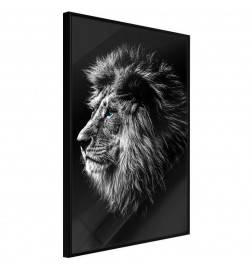 38,00 € Poster - Old King