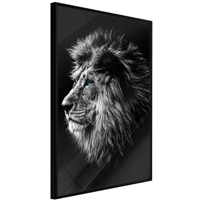 38,00 € Poster - Old King