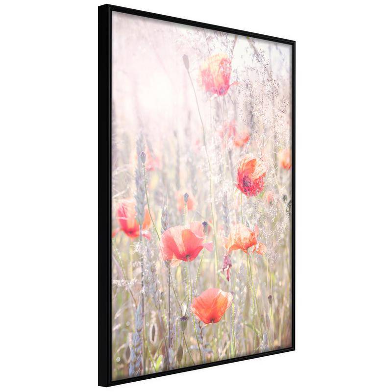 38,00 € Poster - Poppies