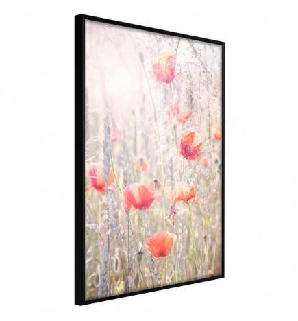 Póster - Poppies