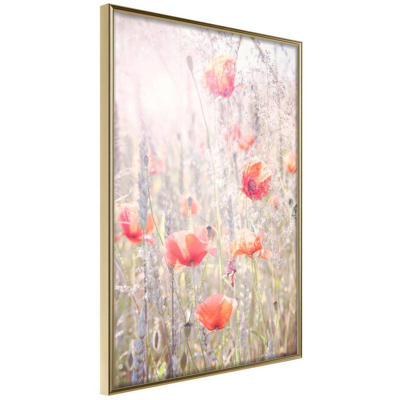 38,00 €Pôster - Poppies