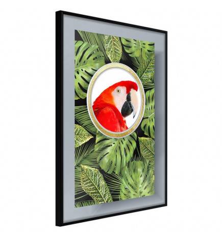 Poster in cornice con il pappagallo rosso - Arredalacasa