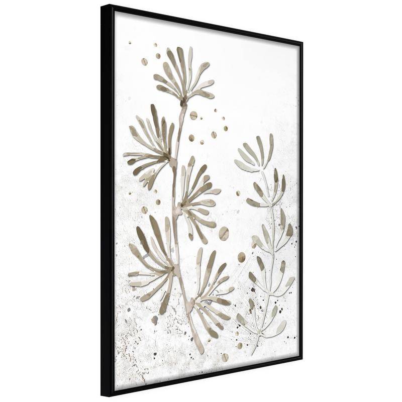 38,00 € Póster - Dried Plants