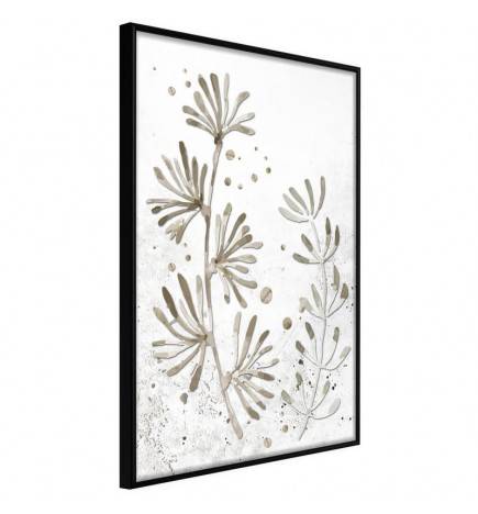 38,00 € Poster - Dried Plants