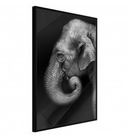 45,00 € Poster met een zwarte en witte olifant Arredalacasa