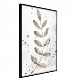Poster et affiche - Dried Twig