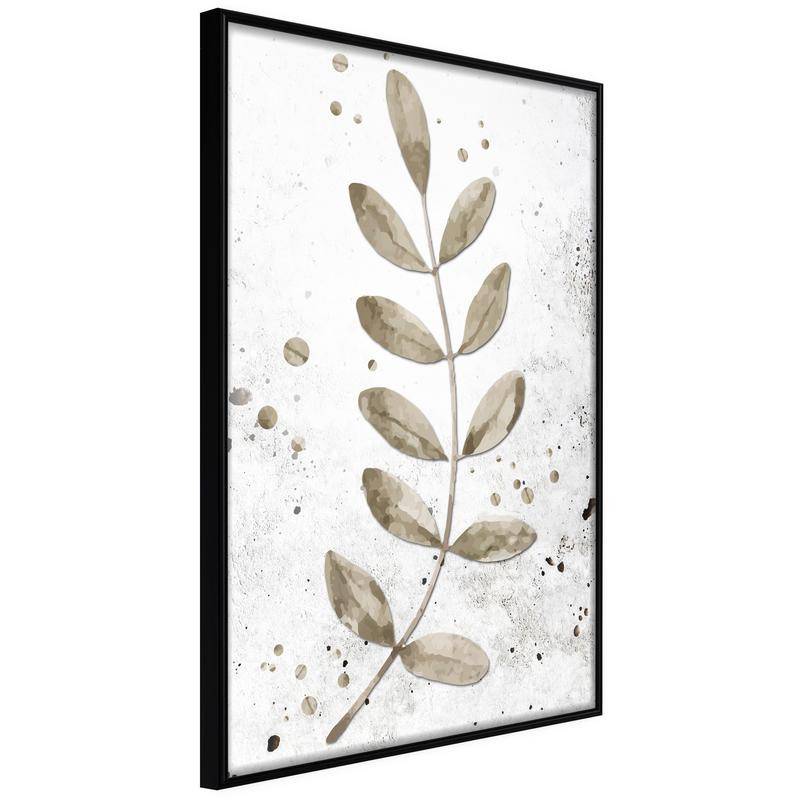 38,00 € Poster - Dried Twig
