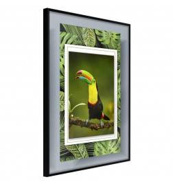 Poster et affiche - Toucan in the Frame