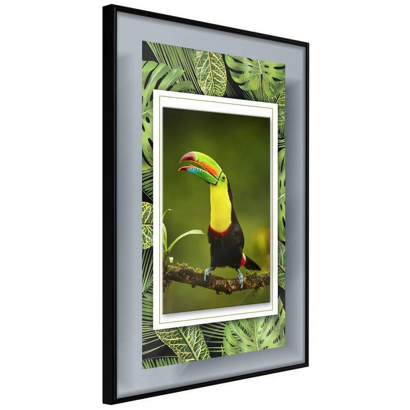 38,00 €Poster et affiche - Toucan in the Frame