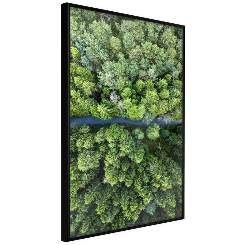 38,00 € Poster met luchtuitzicht op groene bomen, Arredalacasa