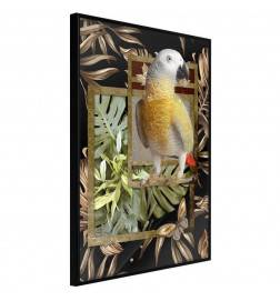 Poster in cornice col pappagallo colorato - Arredalacasa